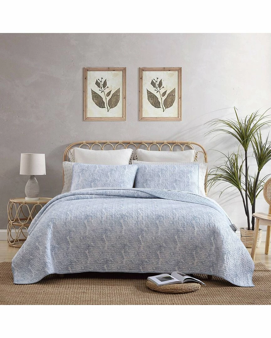 Tommy Bahama Distressed Water Leaves Of Cotton Reversible Quilt Set Home Comforters & Quilts