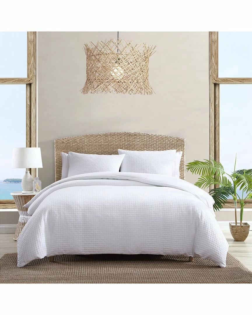 Tommy Bahama Solid Cotton Duvet Cover Set Home Duvet Inserts & Duvets